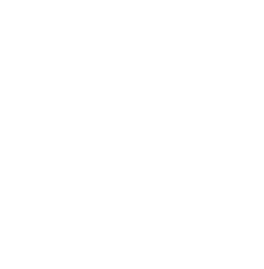 Leoa Icon